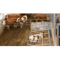 Cámara para establos IPCam 2.0 HD Kerbl Cámara para establos IPCam 2.0 HD Kerbl