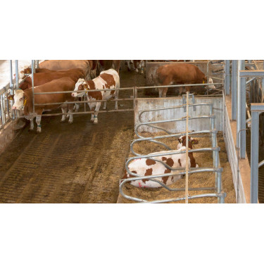 Cámara para establos IPCam 2.0 HD Kerbl Cámara para establos IPCam 2.0 HD Kerbl