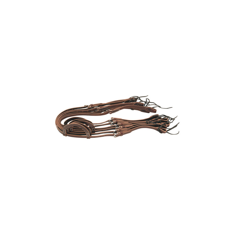 Juego de orejas para bridas Lakota Pro