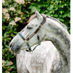 Cabezada Horseware trenzada Signature Marrón / marino / bruma azul Multicolor