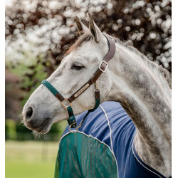 Cabezada Horseware trenzada Signature