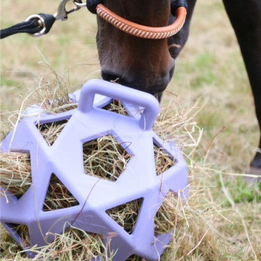 Pelota de juego / pelota de heno Kentucky Lavanda Violeta Pelota de juego / pelota de heno Kentucky Lavanda Violeta