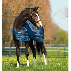 Manta de exterior Horseware Rambo Duo 100g + Liner 300g Marino / cielo azul Manta de exterior Horseware Rambo Duo 100g + Liner 300g Marino / cielo azul