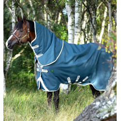 Manta Horseware Amigo AmEco 12 Plus 100g Verde azulado / gris Manta Horseware Amigo AmEco 12 Plus 100g Verde azulado / gris