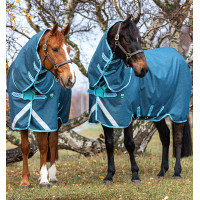 Manta Horseware Amigo AmEco 12 Plus 250g Azul oscuro / azul cielo / azul oscuro Manta Horseware Amigo AmEco 12 Plus 250g Azul oscuro / azul cielo / azul oscuro