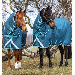 Manta Horseware Amigo AmEco 12 Plus 250g Azul oscuro / azul cielo / azul oscuro Manta Horseware Amigo AmEco 12 Plus 250g Azul oscuro / azul cielo / azul oscuro