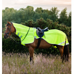 Cubre-riones Horseware anti-moscas Fluo Amigo Flyrider 0g Amarillo Flúor Cubre-riones Horseware anti-moscas Fluo Amigo Flyrider 0g Amarillo Flúor