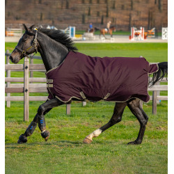 Cobertura Horseware Amigo Hero Ripstop Lite 0g Higo Violeta