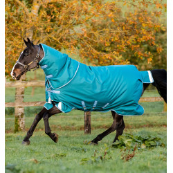 Horseware Amigo® Bravo 12 Plus 400g 1200D Manta Verde / turquesa