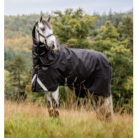 new Negro / negro / blanco