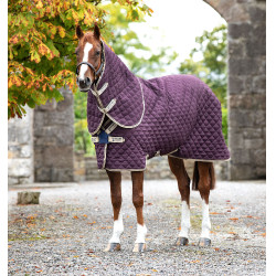 Manta de cuadra Horseware Amigo Plus Disco 200g Higo / marino Violeta Manta de cuadra Horseware Amigo Plus Disco 200g Higo / marino Violeta