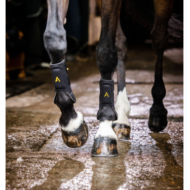 Guarniciones Horseware Adagio Guarniciones Horseware Adagio