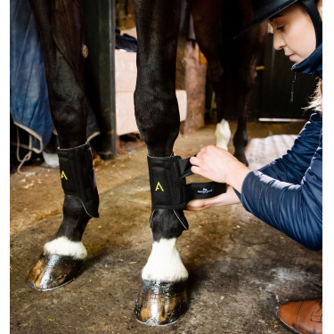 Guarniciones Horseware Adagio Guarniciones Horseware Adagio