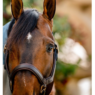 Cabezada Rambo Micklem Horseware Castaño Marrón