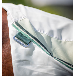 Cobertura integral Horseware Rambo Hoody 0g Verde / salvia Cobertura integral Horseware Rambo Hoody 0g Verde / salvia