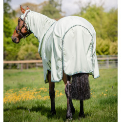 Cobertura integral Horseware Rambo Hoody 0g Verde / salvia Cobertura integral Horseware Rambo Hoody 0g Verde / salvia
