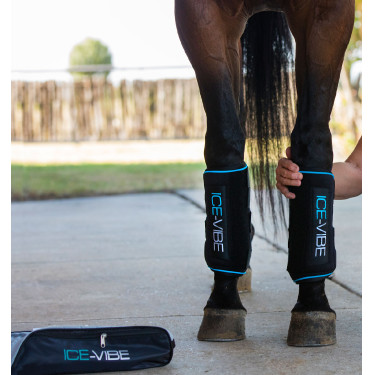 Gueteras de masaje Horseware Ice-Vibe Gueteras de masaje Horseware Ice-Vibe