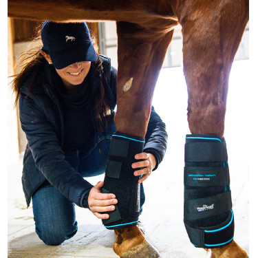 Gueteras de masaje Horseware Ice-Vibe Gueteras de masaje Horseware Ice-Vibe