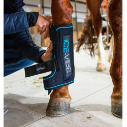 copy of Protectores anti moscas LeMieux Gladiator Mesh copy of Protectores anti moscas LeMieux Gladiator Mesh