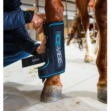 Gueteras de masaje Horseware Ice-Vibe Gueteras de masaje Horseware Ice-Vibe