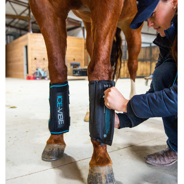 Gueteras de masaje Horseware Ice-Vibe Gueteras de masaje Horseware Ice-Vibe