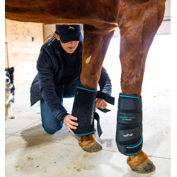 copy of Protectores anti moscas LeMieux Gladiator Mesh copy of Protectores anti moscas LeMieux Gladiator Mesh