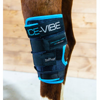 Protectores de corvejones Horseware Ice-Vibe Negro / azul aqua