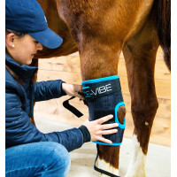 Protectores de corvejones Horseware Ice-Vibe Negro / azul aqua