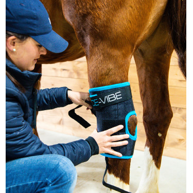Protectores de corvejones Horseware Ice-Vibe Protectores de corvejones Horseware Ice-Vibe
