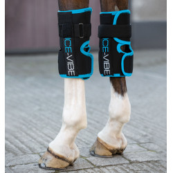 Gueteras Ice-Vibe Rodillas Horseware Negro / aqua