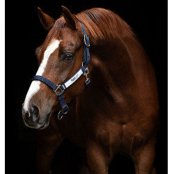 Cabezada de seguridad Horseware Field Safe Cabezada de seguridad Horseware Field Safe