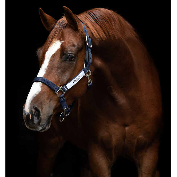 Cabezada de seguridad Horseware Field Safe Cabezada de seguridad Horseware Field Safe