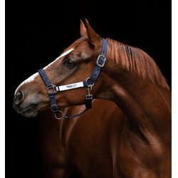 Cabezada de seguridad Horseware Field Safe Cabezada de seguridad Horseware Field Safe