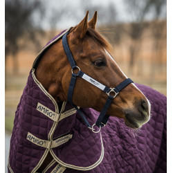 Cabezada de seguridad Horseware Field Safe Cabezada de seguridad Horseware Field Safe