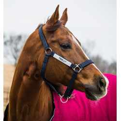 Cabezada de seguridad Horseware Field Safe Cabezada de seguridad Horseware Field Safe