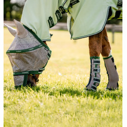 copy of Protectores anti moscas LeMieux Gladiator Mesh Beige / verde copy of Protectores anti moscas LeMieux Gladiator Mesh Beige / verde