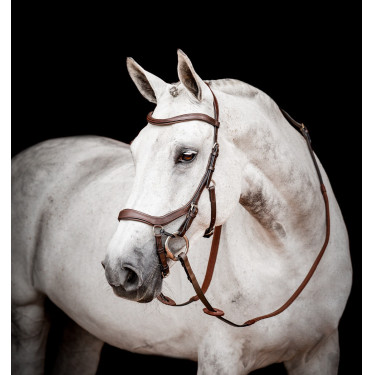 Bridon Horseware Micklem 2 Competición Rambo Bridon Horseware Micklem 2 Competición Rambo