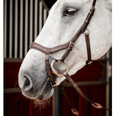 Bridon Horseware Micklem 2 Competición Rambo Bridon Horseware Micklem 2 Competición Rambo