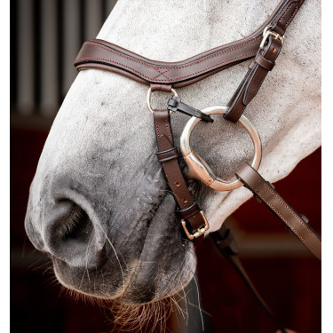 Bridon Horseware Micklem 2 Competición Rambo Bridon Horseware Micklem 2 Competición Rambo