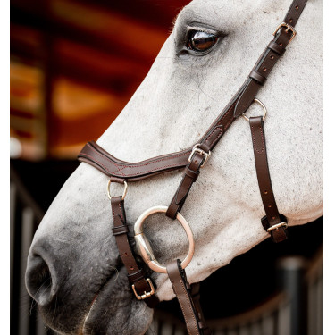 Bridon Horseware Micklem 2 Competición Rambo Bridon Horseware Micklem 2 Competición Rambo