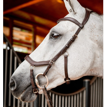 Bridon Horseware Micklem 2 Competición Rambo Bridon Horseware Micklem 2 Competición Rambo