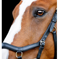 Brida Horseware Micklem 2 Competition con riendas de goma Havana oscuro Marrón