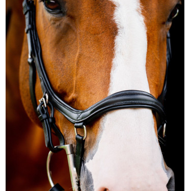 Brida Horseware Micklem 2 Deluxe Competición Brida Horseware Micklem 2 Deluxe Competición