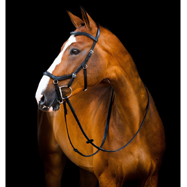 Brida Horseware Micklem 2 Deluxe Competition riendas de goma Brida Horseware Micklem 2 Deluxe Competition riendas de goma