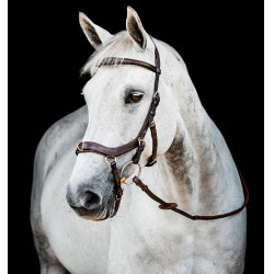 Brida Horseware Micklem 2 Multi Havana oscuro Marrón Brida Horseware Micklem 2 Multi Havana oscuro Marrón