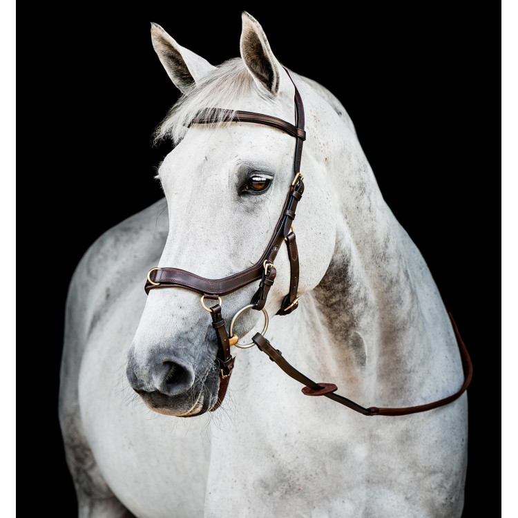 Brida Horseware Micklem 2 Multi Brida Horseware Micklem 2 Multi
