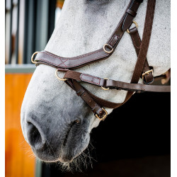 Brida Horseware Micklem 2 Multi Havana oscuro Marrón Brida Horseware Micklem 2 Multi Havana oscuro Marrón