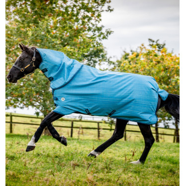 Manta Horseware Amigo Hero 900 Revive Plus 50g Manta Horseware Amigo Hero 900 Revive Plus 50g