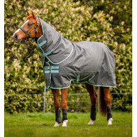 Manta Horseware Amigo Hero Ripstop Plus con cuello 200g Higo / plata Burdeos Manta Horseware Amigo Hero Ripstop Plus con cuello 200g Higo / plata Burdeos