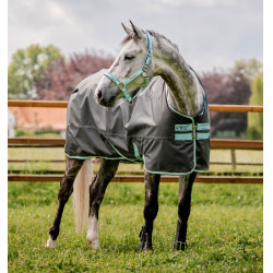 Manta Horseware Amigo Hero Ripstop 50g Gris sombra / azul neblina / marino Manta Horseware Amigo Hero Ripstop 50g Gris sombra / azul neblina / marino